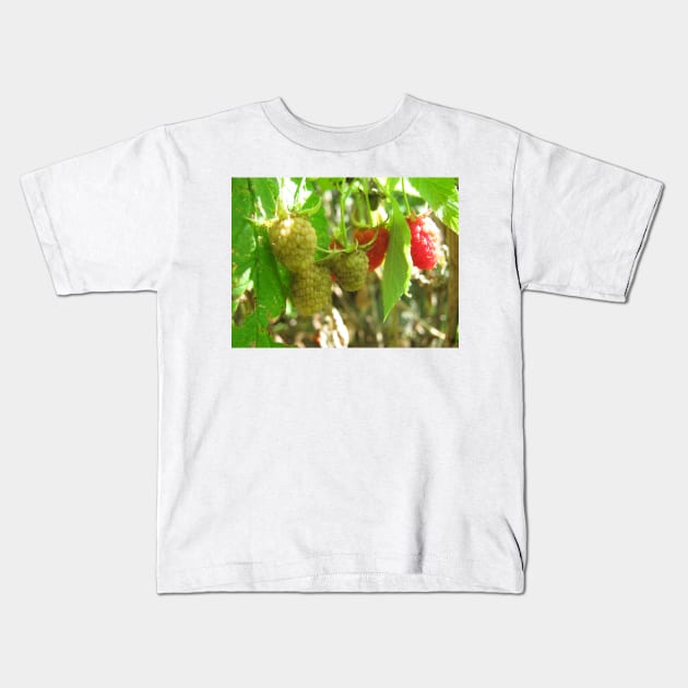 Raspberries Kids T-Shirt by Reilly's Fine Art and Designs